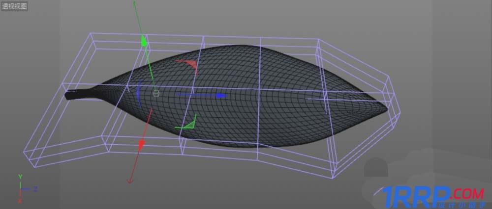 C4D設計實例教程：C4D畫一片綠色葉子的方法-10